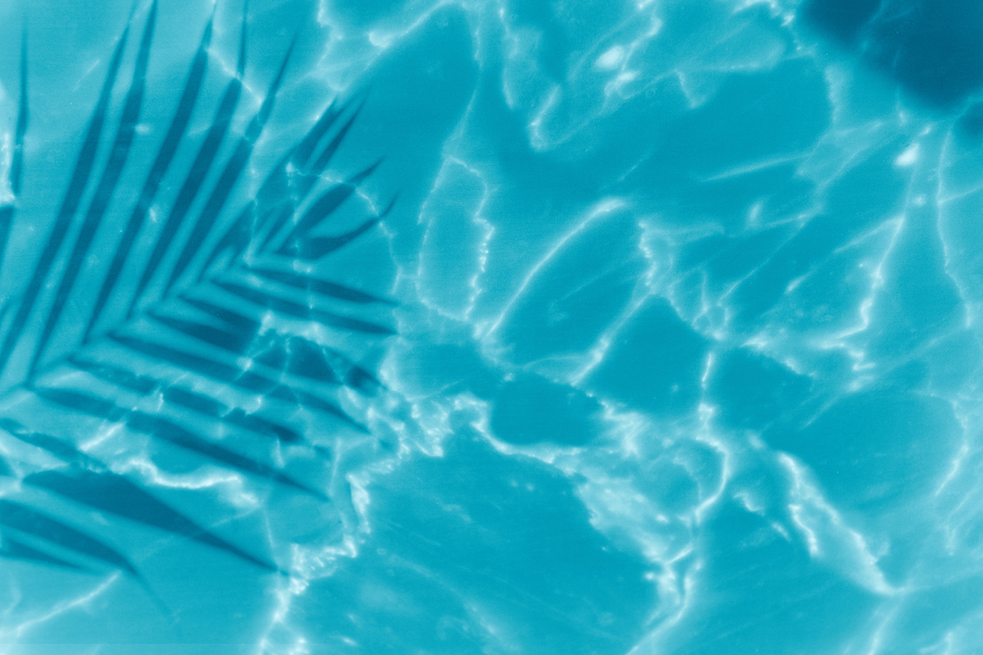 Kingsmead Spring Campaign Banner